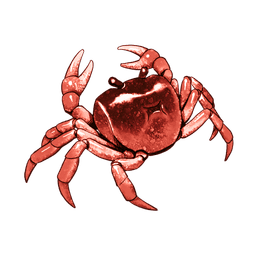 Lobster