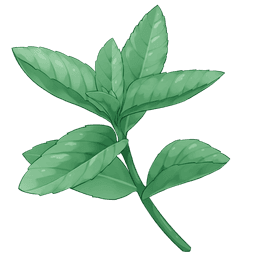 Seaweed